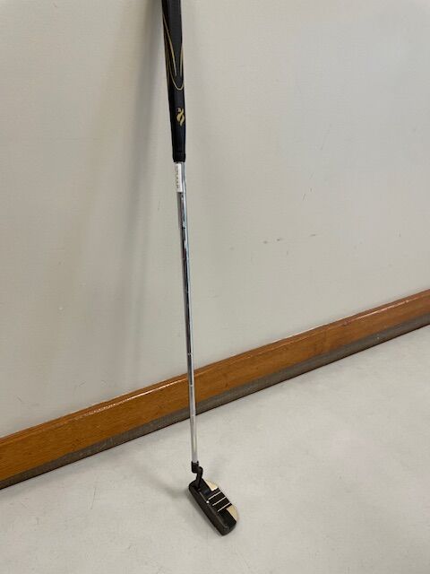 Nancy Lopez Putter - Left Hand (3)